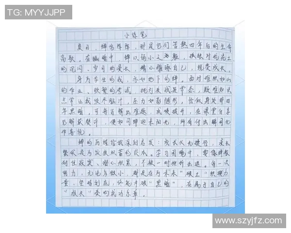 深度对话：探索陈芳在网球世界中的奋斗与成长之路