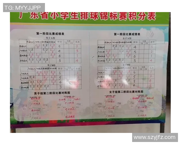 南京排球队的成长之路：一段激情与坚持交织的纪实故事