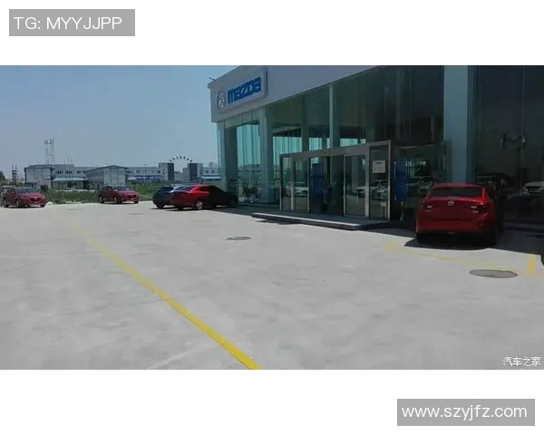 南京排球队防反战术解析与热点动态全方位解读 南京排球队防反战术解析与热点动态全方位解读