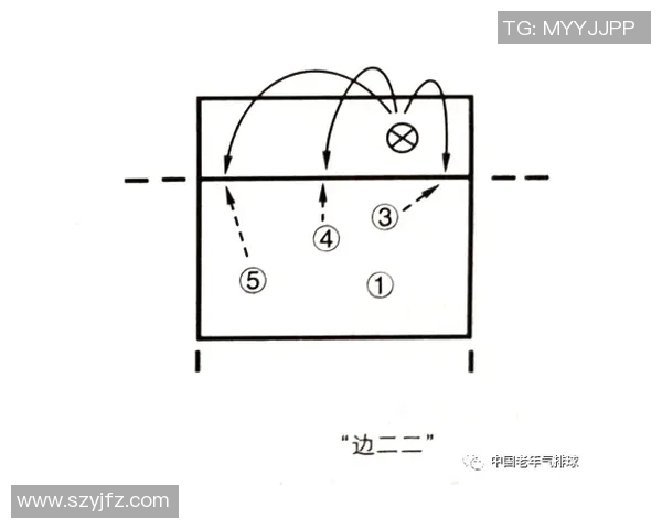 成都排球队反击战术解析与未来发展展望 成都排球队反击战术解析与未来发展展望